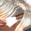 1900 Kleding Prijskaartje Met En Snap Sluiting 9
