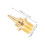 50 Spikes Voor Voor Atletiek En Training 3