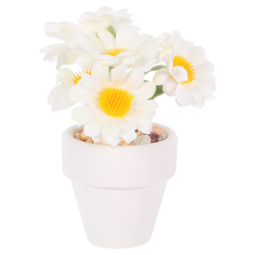 4 Miniatura In Vaso Per Casa ,