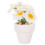 4 Miniatura In Vaso Per Casa , 3