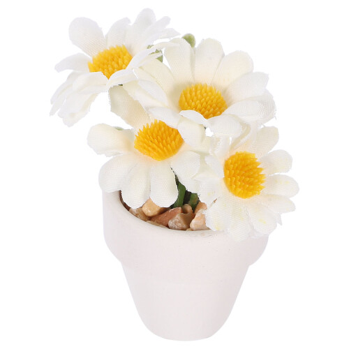 4 Miniatura In Vaso Per Casa , 1