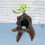 Decoração Para Répteis E Anfíbios ( ) 3