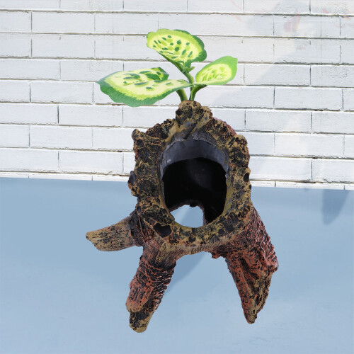 Decoração Para Répteis E Anfíbios ( ) 2