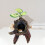 Decoração Para Répteis E Anfíbios ( ) 9