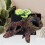 Decoração Para Répteis E Anfíbios ( ) 6