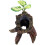 Decoração Para Répteis E Anfíbios ( ) 10