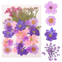 27 Peças Conjunto Flores Prensadas Para Diy Decoração
