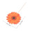 48 Pcs Daisy Topper Para Cupcake, Decorações , 2