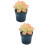 2 Unidades Miniatura Bonsai Vaso 9