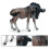 Modell Ornamang 9