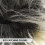 Wig Afro Com Espetos Para , E Cosplay 8