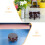 Plantstånd För Inomhusväxter Kinesisk Vase Design 8