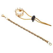 1 Set Klädtillbehör Med Krona Och Halsband För Reptiler