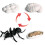 5Pcs Simulation Ant Model Set Konstgjord Djurfigur Plastmyr Leksak 2