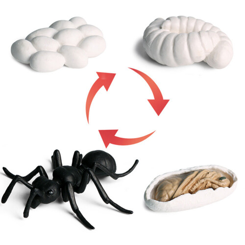 5Pcs Simulation Ant Model Set Konstgjord Djurfigur Plastmyr Leksak 1