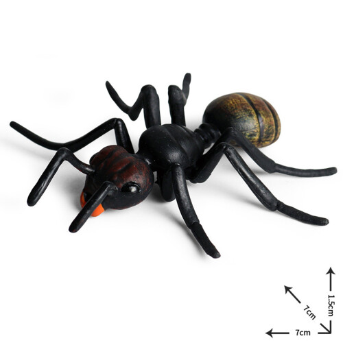 5Pcs Simulation Ant Model Set Konstgjord Djurfigur Plastmyr Leksak 2