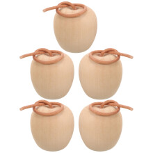 5Pcs Trääpple Miniatyrmålning Ofärgat Äpple Tillbehör