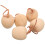 5Pcs Trääpple Miniatyrmålning Ofärgat Äpple Tillbehör 10