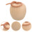 5Pcs Trääpple Miniatyrmålning Ofärgat Äpple Tillbehör 4