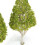 5St Poplar Model Huis Bureau Groen-Wit Decoratie 7