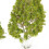 5St Poplar Model Huis Bureau Groen-Wit Decoratie 5