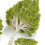5St Poplar Model Huis Bureau Groen-Wit Decoratie 6