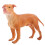 Simuleringshund Modell Plasthund Utbildningsmodell 9