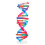 Double Helix Modell Dna Vetenskap Undervisning Montering Leksak 3