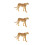 3Pcs Simulation Leopard Figurin Plast Modell Barns Leksak 4