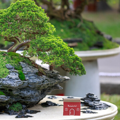 4St Mini Plastmodell För Bonsai Sandbord Terrarium 2