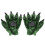 2Paia Caldi Claw Per E 9