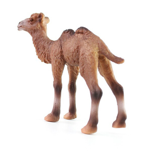 Simulation Camel Figurin Vild Modell För Barnlek