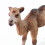 Simulation Camel Figurin Vild Modell För Barnlek 7