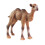 Simulation Camel Figurin Vild Modell För Barnlek 10