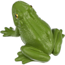 Frog Figurin Realistisk Djurmodell Utbildningsmedel Läromedel