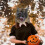 1 Set Vargmask Och Klorhandskar För Halloween Cosplay 6
