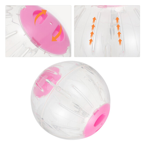 De Ejercicio Para Correr Hamster Actividad 2