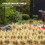 1 Box Static Grass Tuft For Model Railway And Miniature Gaming Terrain 5