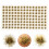 1 Box Static Grass Tuft For Model Railway And Miniature Gaming Terrain 9