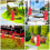 10Pcs Diy Mikrolandskapsbrandslängd För Miniatyrsamlingar Sandbord 7
