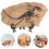 1 Set Dinosauriefossiler Föremål Simulerade Fossil Ornamang 4