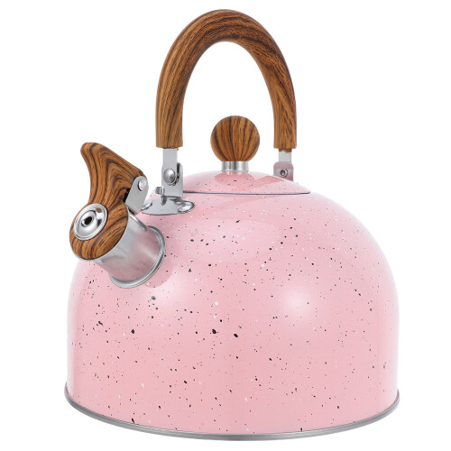 Tea Kettle För : Rostfritt , 3 L, Vikbar Handtag, Visslande