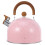 Tea Kettle För : Rostfritt , 3 L, Vikbar Handtag, Visslande 11