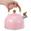 Tea Kettle För : Rostfritt , 3 L, Vikbar Handtag, Visslande 4