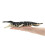 1 Stycke Liopleurodon Modell I Pvc För Barn 2