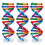 3 Delar Dna-Modell: Diy Helix Kit För Gener Lärande 10