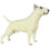 Bull Terrier Modell Stående Simulerad Hund Falsk 5