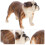 Realistisk Bulldoggfigur Hundlek 2