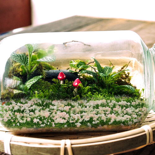 Låda Mini Blomsterkluster Miniatyr Vegetation DIY Sandbord 1