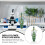 Dicotyledon Blomstruktur Modell 6